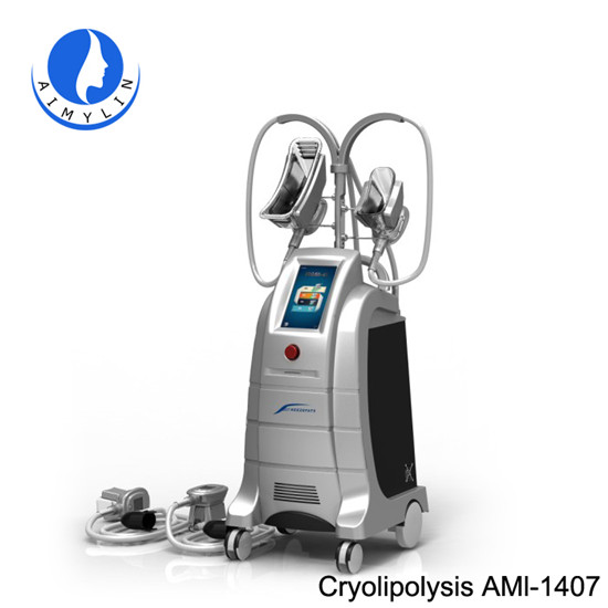 4 handles cryolipolysis machine AML-1407