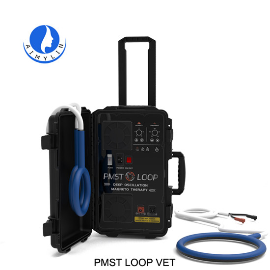 Pemf Pmst loop vet therapy device EMS23 VET